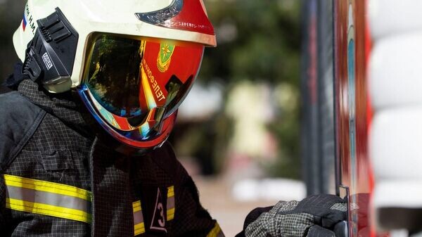    © РИА Новости Крым . Дмитрий Макеев