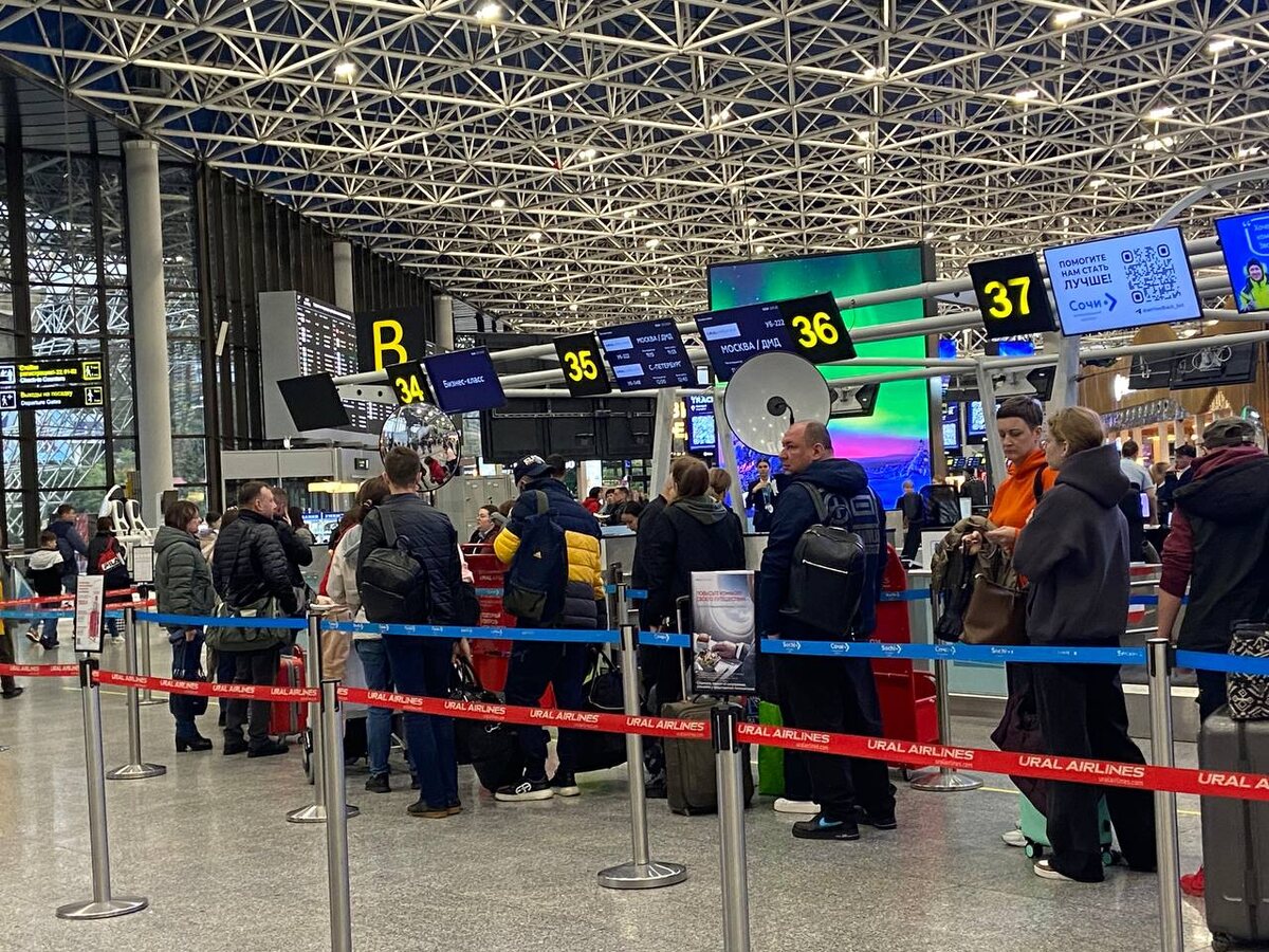    фото: Сочи 24