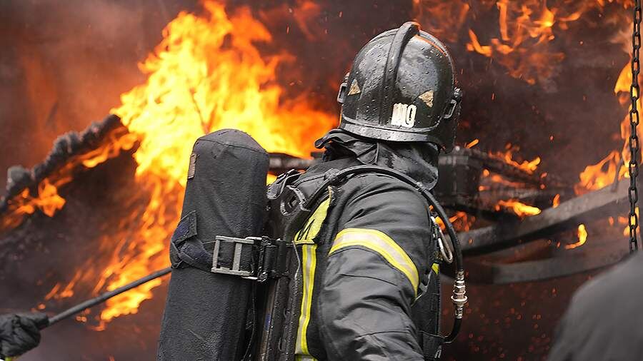    Фото: ИЗВЕСТИЯ