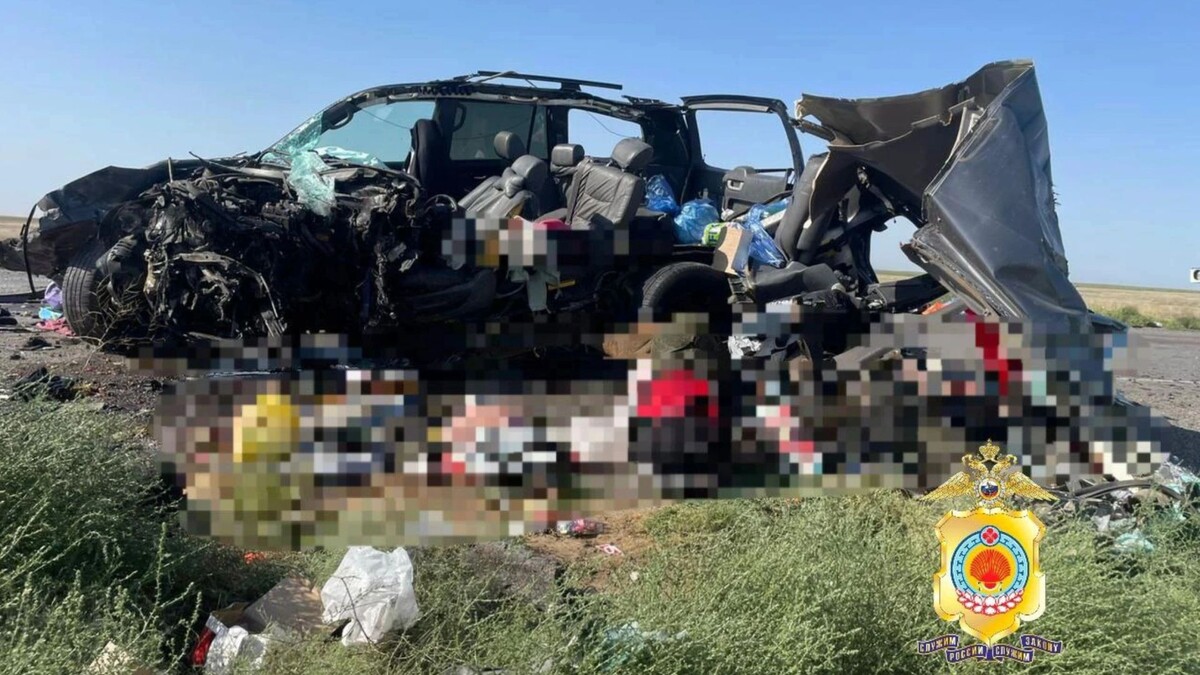    Фото: t.me/mvdkalmykia