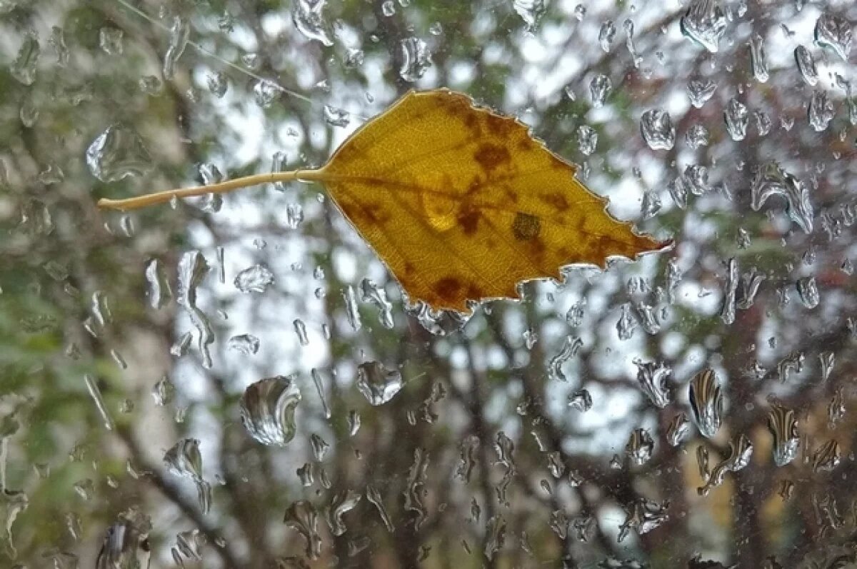    В середине месяца холодно.