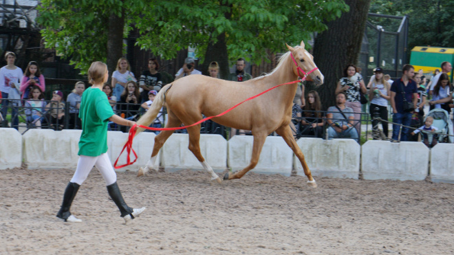 Фото: сайт Ленинградского зоопарка.