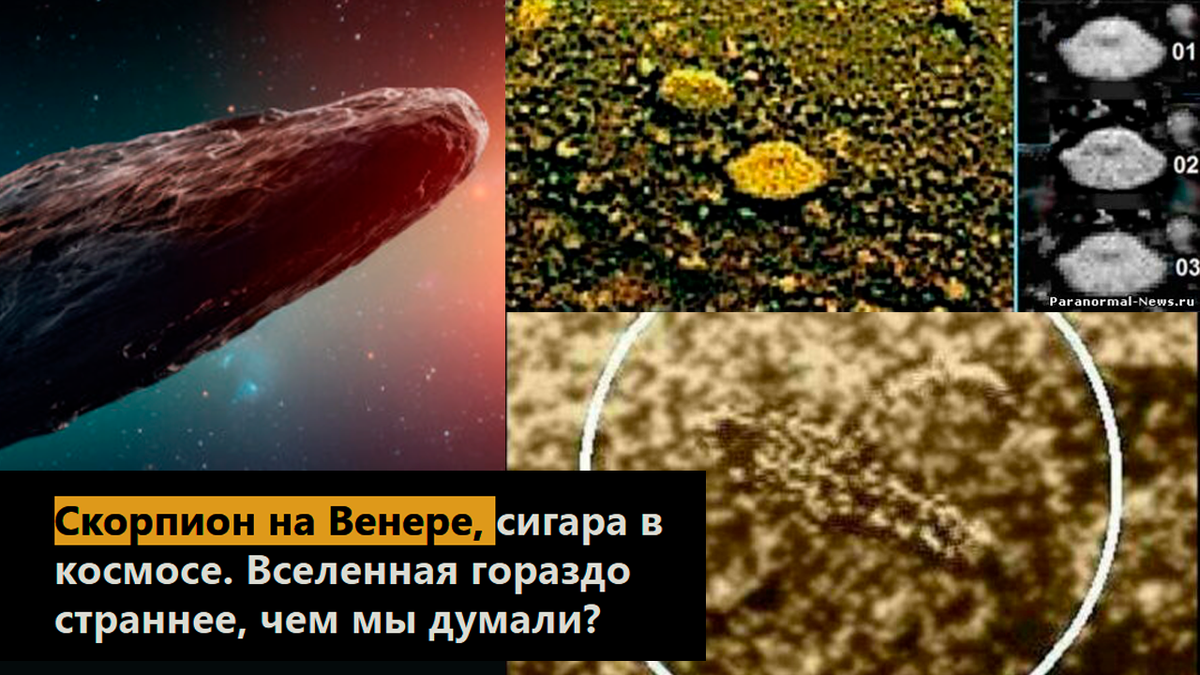 Скорпион на Венере, сигара в космосе. Вселенная гораздо страннее, чем мы думали?
