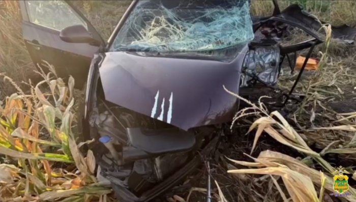    Госавтоинспекция Краснодарского края