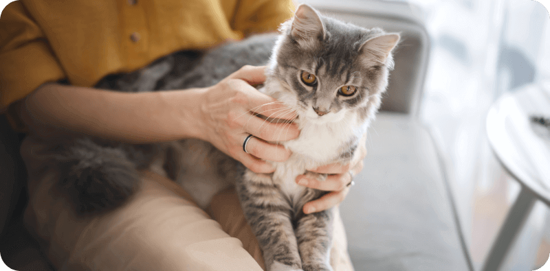 Фото из Интернета.