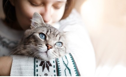 Фото из Интернета.