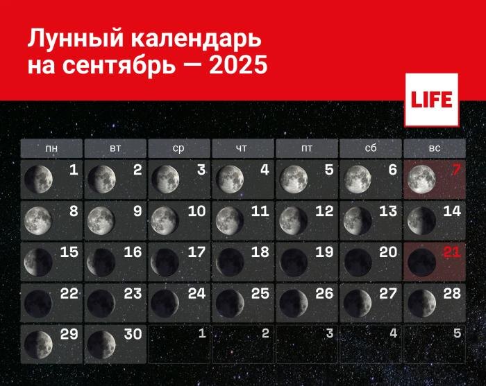 Лунный календарь на сентябрь — какие у Луны будут фазы в первый месяц осени? Инфографика © Life.ru