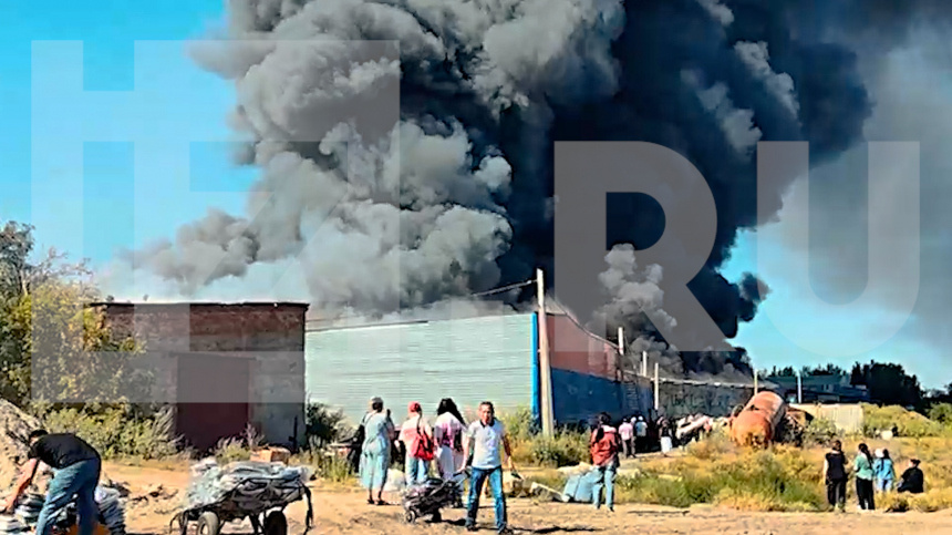    Фото: ИЗВЕСТИЯ; 5-tv.ru