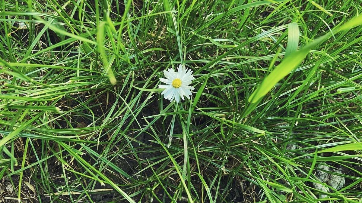     Источник: 1MI