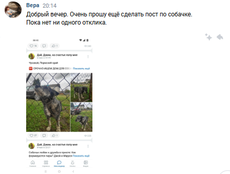 А дело-то, похоже, серьезное