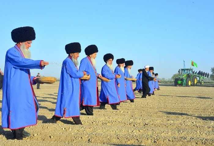 Начало посева озимой пшеницы, 2 сентября, 2022 г., Туркменистан (Фото: TDH)