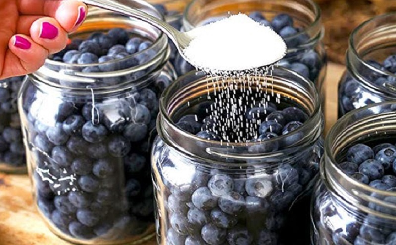 Как сохранить свежую чернику в банке без заморозки: ягоды не портятся годами