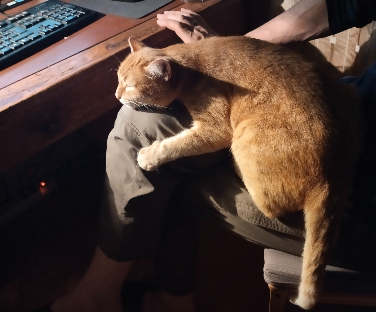 - Хорошо, тепло... Какой такой эгоизм?!