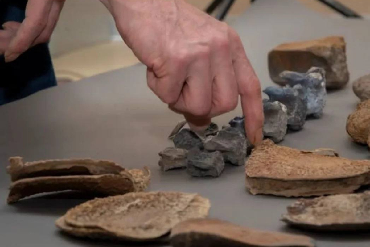    Фото: ТГ-канал Александра Дрозденко