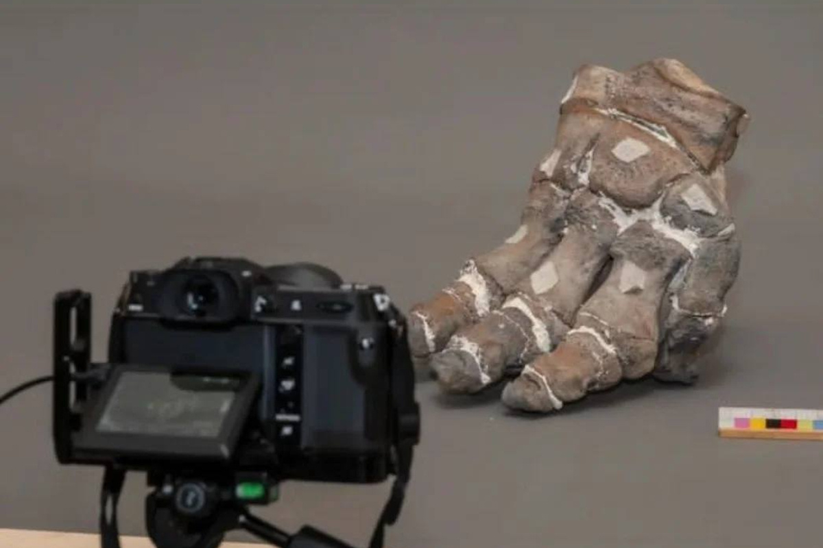    Фото: ТГ-канал Александра Дрозденко