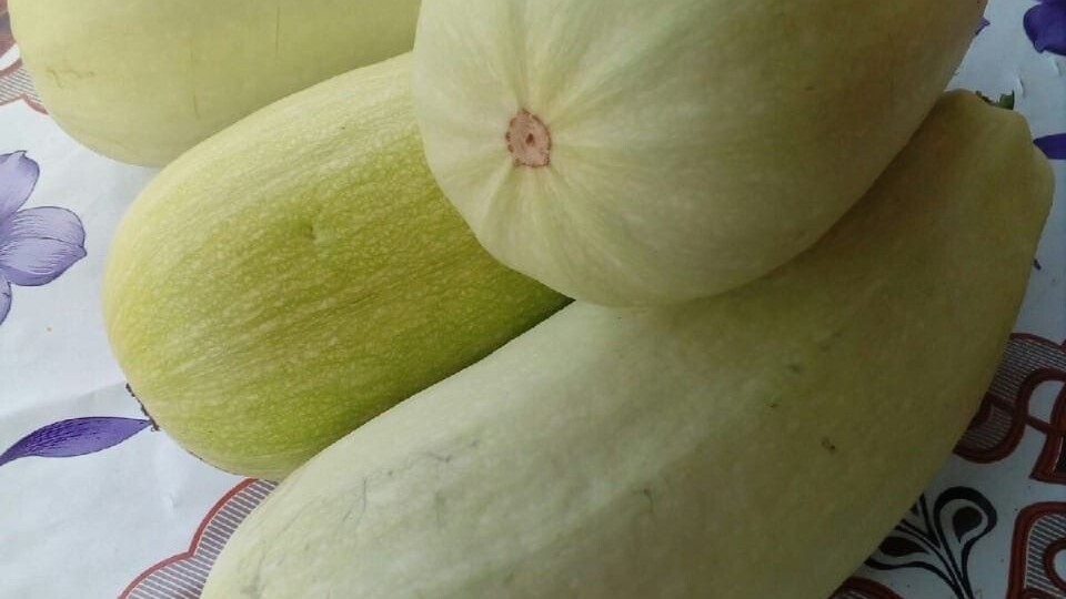 Рецепт кабачкового пирога