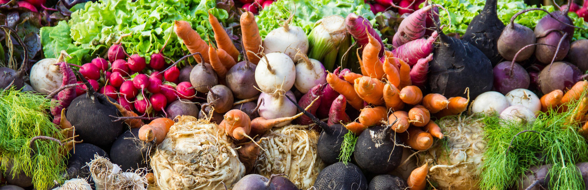 корнеплоды