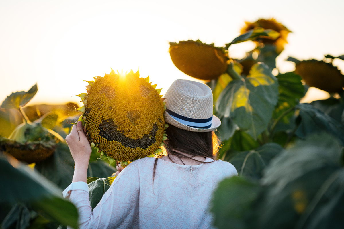 Сбор урожая заканчивает лето