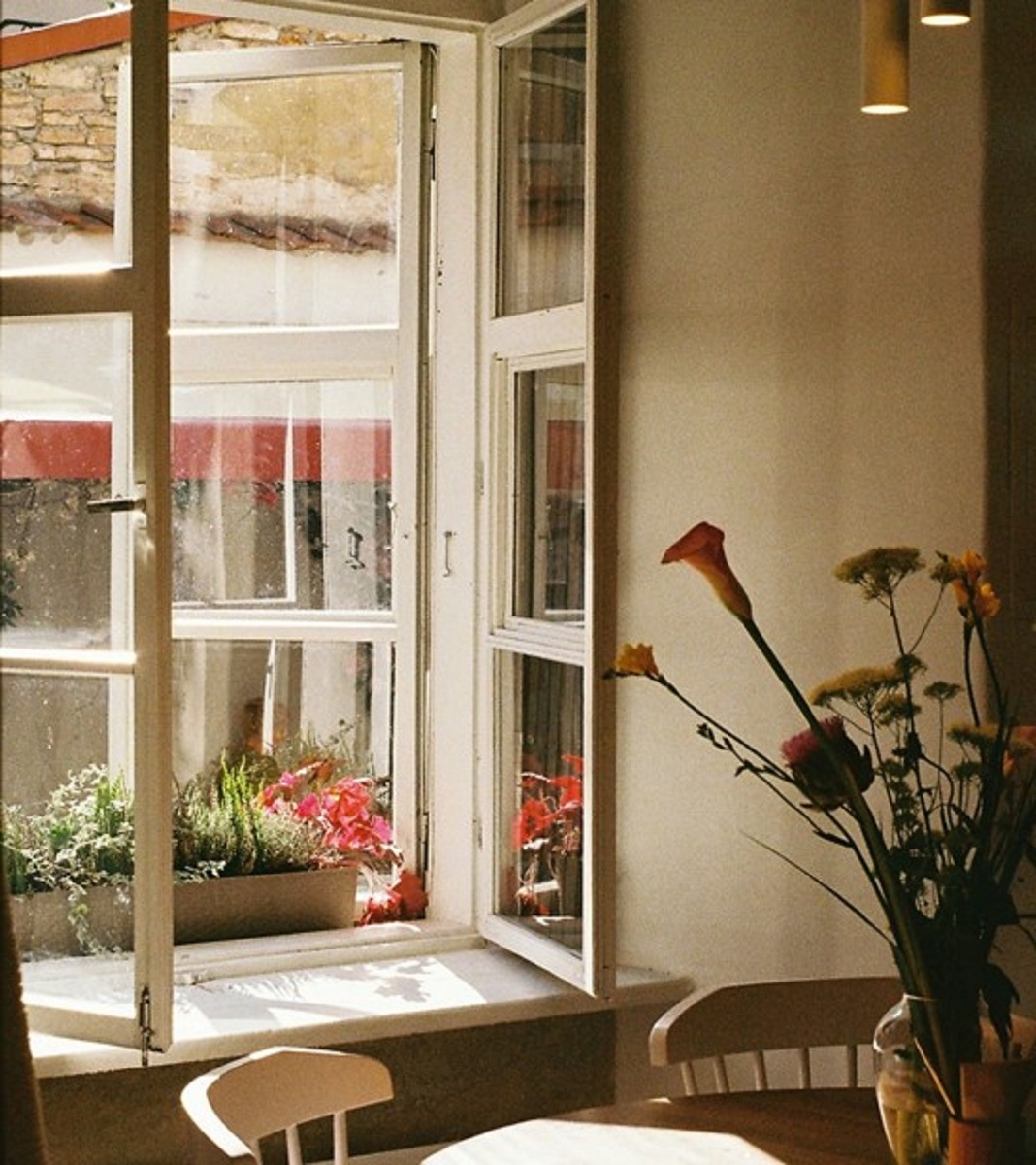 Источник: https://unsplash.com/