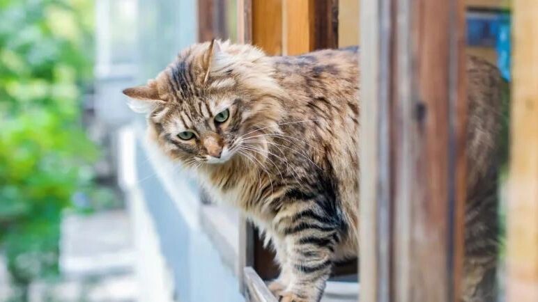    Фото: alexdov/Shutterstock/Fotodom