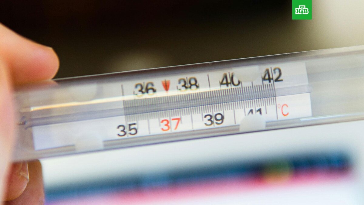    Фото: Matteo Fusco / unsplash.com