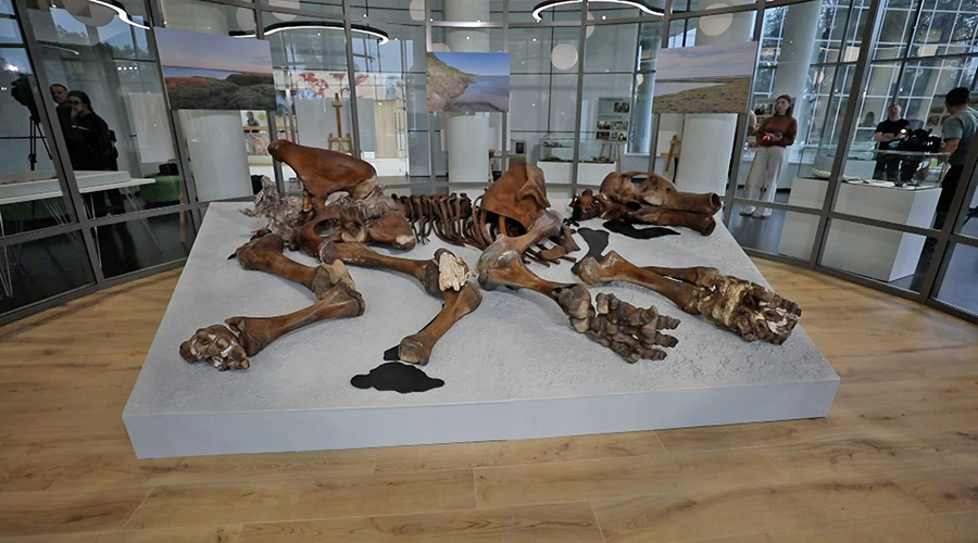    © АО "ТВ Центр"