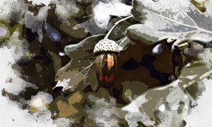 Image by freepik  📷
