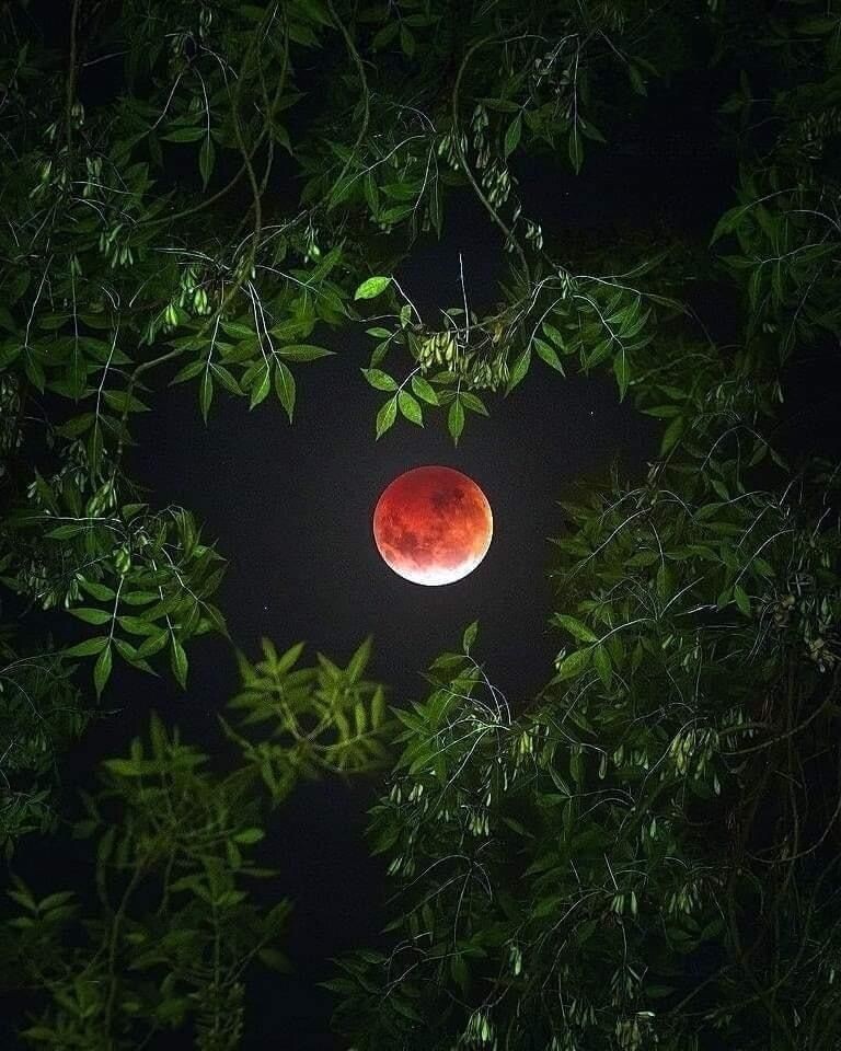 Затмение Луны