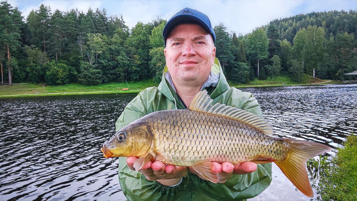 ДЕВЯТЬ КАРПОВ И ПОЛ ТАЗИКА КАРАСЯ (20.08.2025)