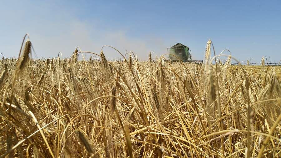    Фото: ИЗВЕСТИЯ/Александр Полегенько