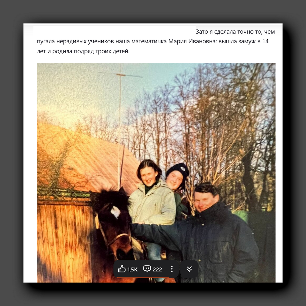 Скриншот «Деревенский дневник очень многодетной мамы»
