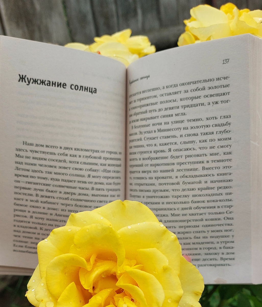 Из личного фотоархива Sw. Sein