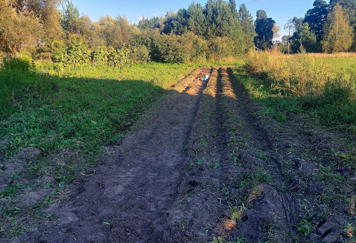 Наш огород. Начали копать