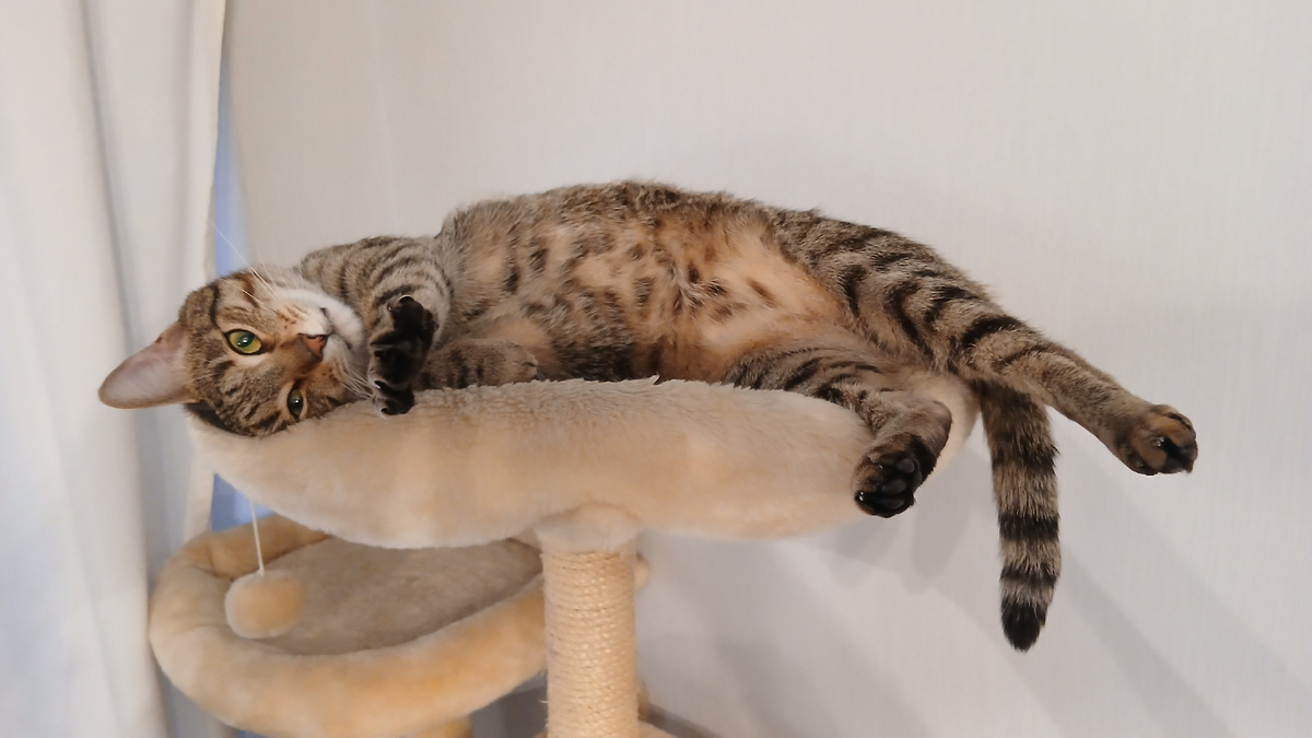 По крайней мере Юша одобряет