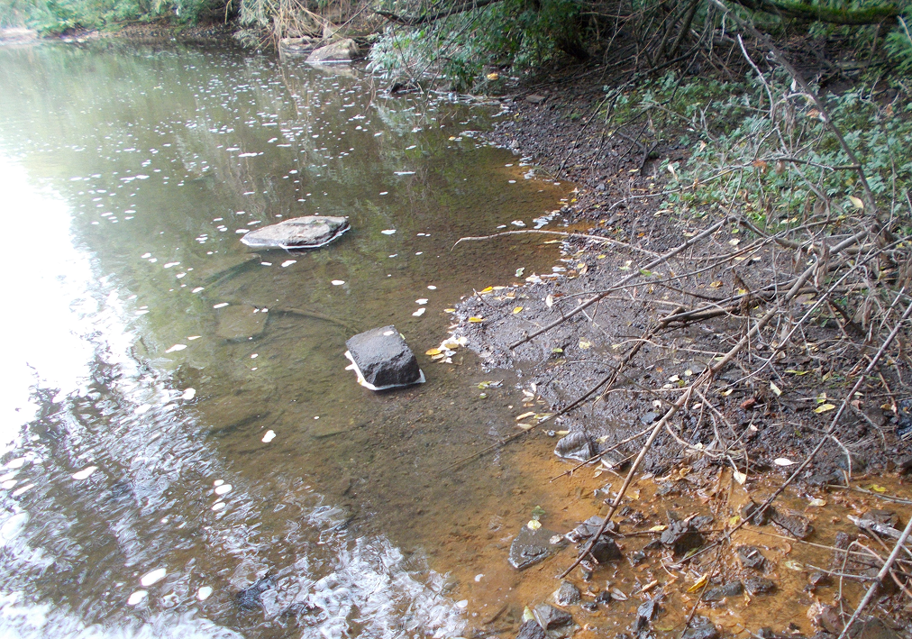     Фото: Министерство природных ресурсов и экологии Свердловской области