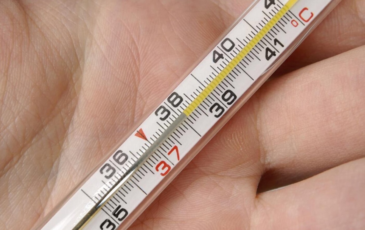    Вирус чикунгунья сильно поднимает температуру тела. Источник фотографии: yagazeta.com