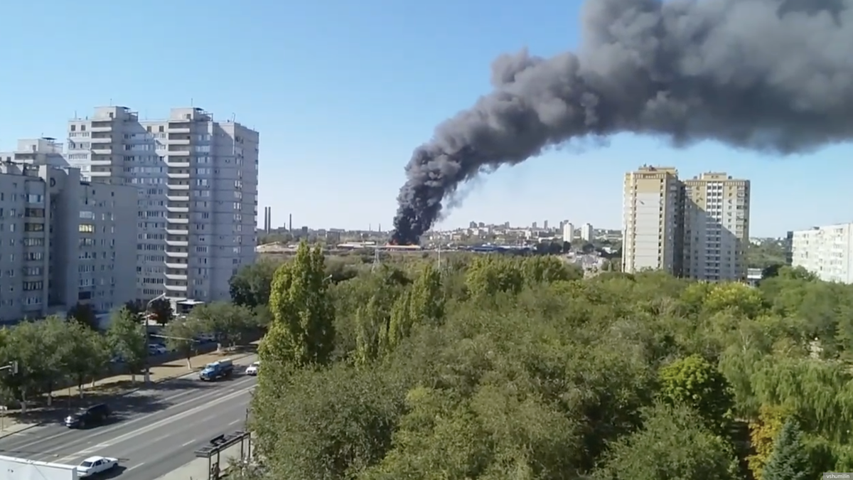     Фото: vshumilin   
 Текст: Евгения Караваева