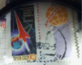    Фото: Авито