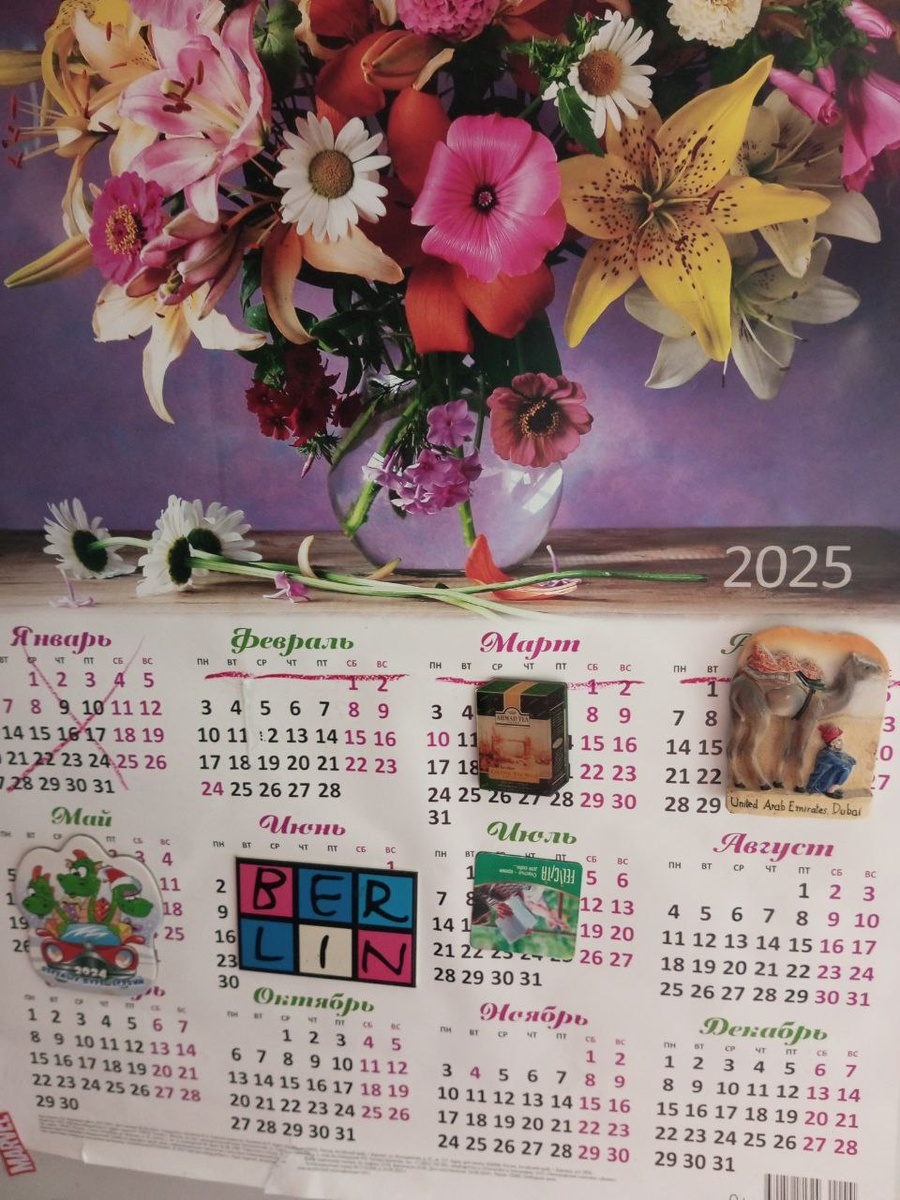 Катимся в осень