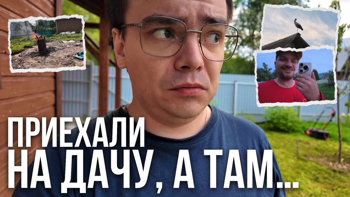 Что происходит на моей даче? Редиска зацвела, аисты на фонарях и комары атакуют! - Мистер ВВ