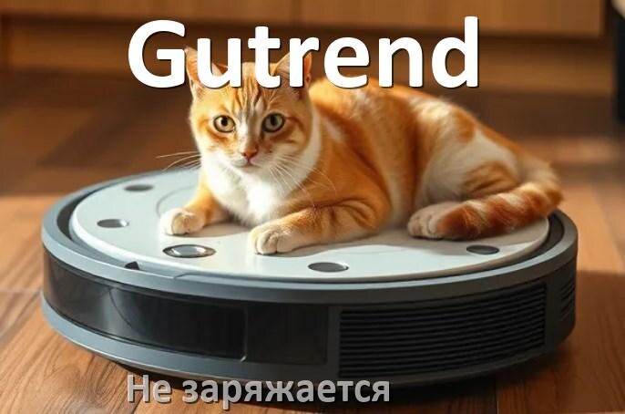 
Почему робот пылесос Gutrend не заряжается и пищит что делать