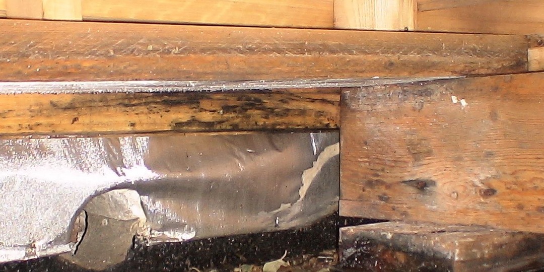 Как сделать пол в бане «вечным»: дедовский секрет и современный метод