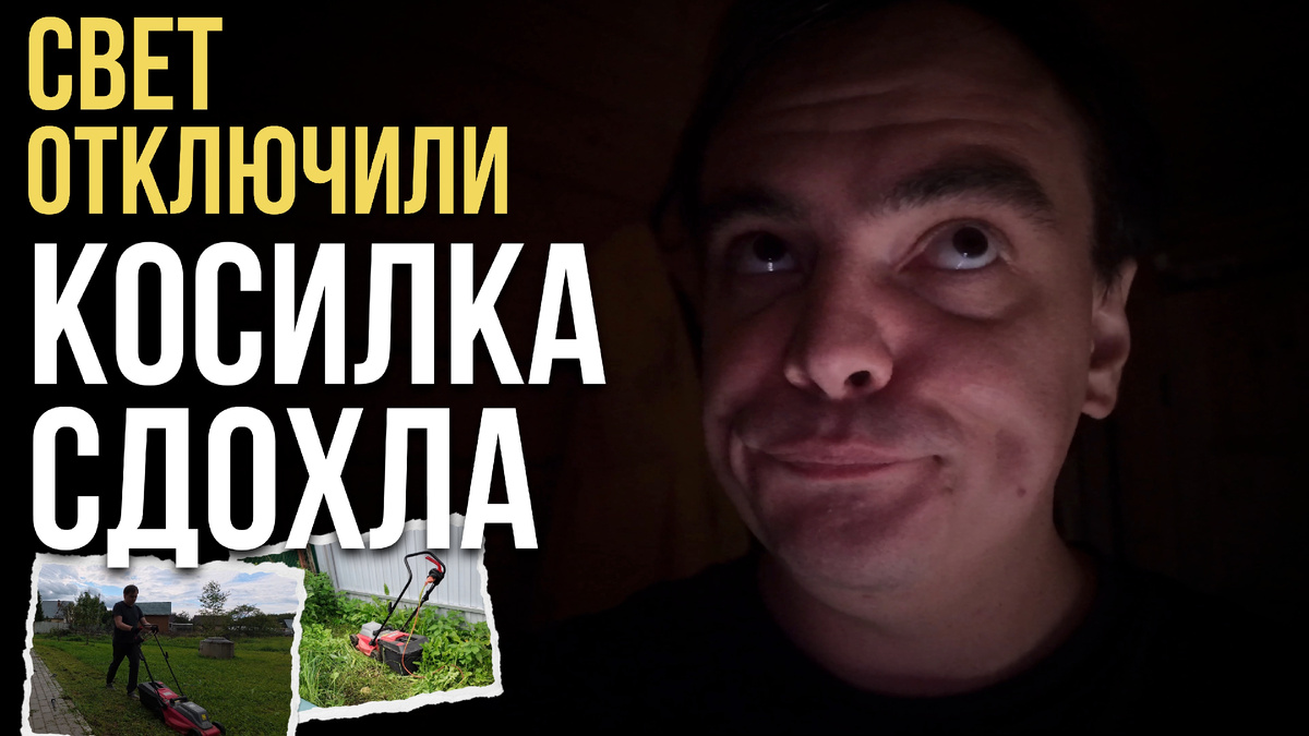 Дача в пятницу: свет отключили, косилка сдохла, а клубнику сожрали! - Мистер ВВ