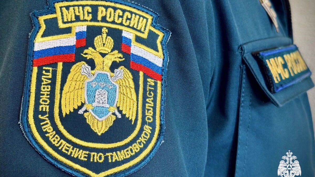    Фото: t.me/gu_mchs_tambov
