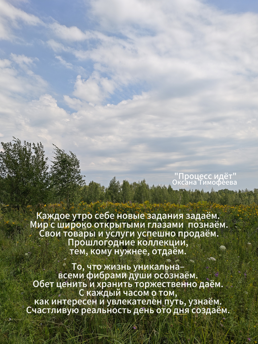 "Процесс идёт". Оксана Тимофеева (автор)