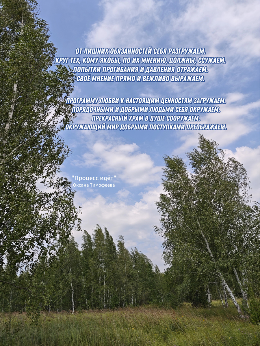 "Процесс идёт". Оксана Тимофеева (автор)