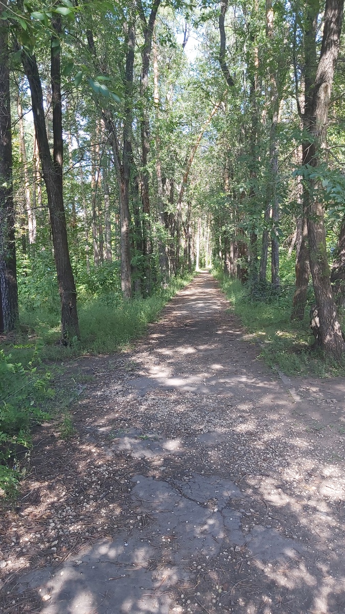 Фото автора.  В парке