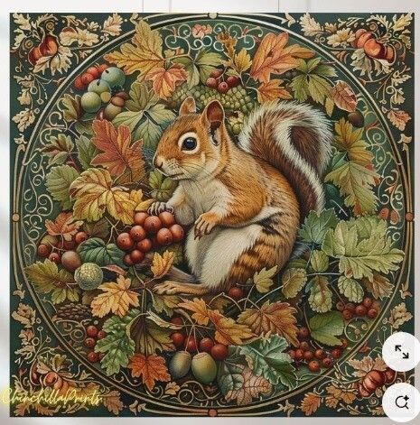 Фото из интернета.