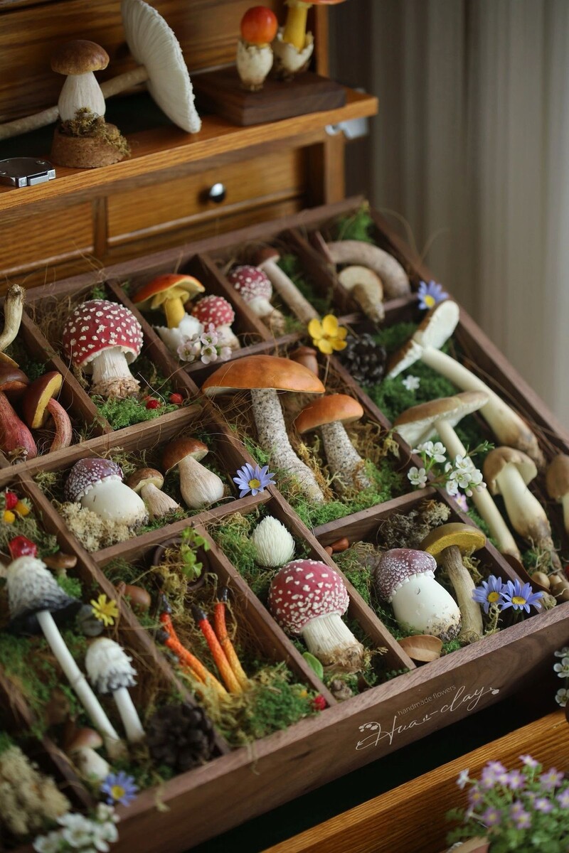 Фото из интернета.