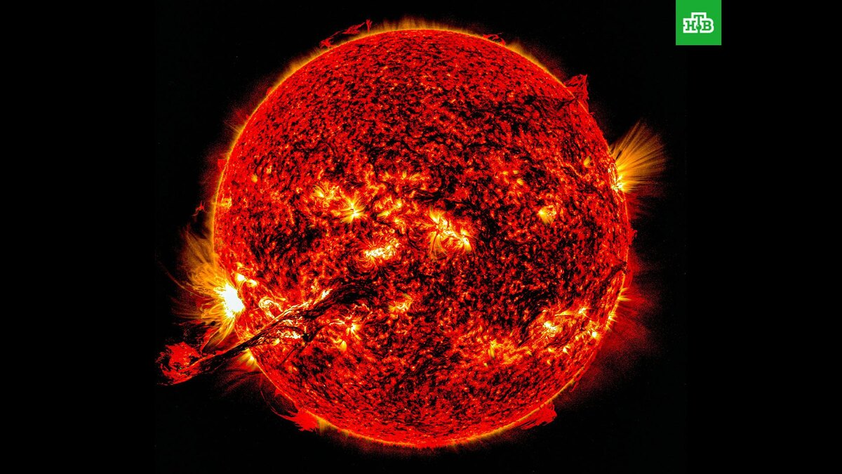    Фото: Javid Naderi / unsplash.com